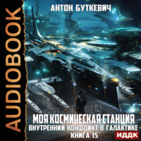 . Моя Космическая Станция. Книга 15. Внутренний конфликт в галактике
