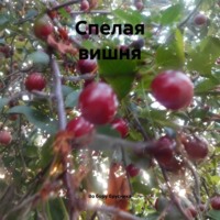 . Спелая вишня