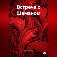 . Встреча с Шаманом