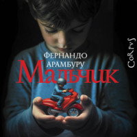 Фернандо Арамбуру. Мальчик