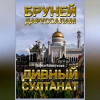 Дарья Дмитриевна Мишукова. Бруней-Даруссалам. Дивный султанат