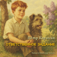 Пётр Петрович Карякин. Ответственное задание