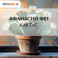 . Кактус