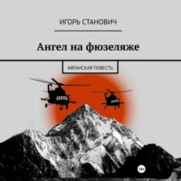 Игорь Станович. Ангел на фюзеляже