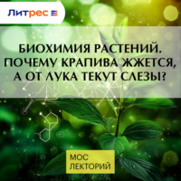 Тимур Чернов. Биохимия растений.Почему крапива жжется, а от лука текут слезы?