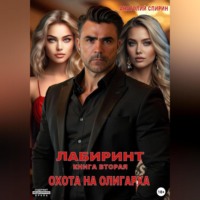 . Лабиринт. Книга вторая. Охота на олигарха