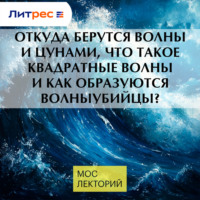 Игорь Медведев. Откуда берутся волны и цунами, что такое квадратные волны и как образуются волныубийцы?