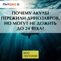 . Почему акулы пережили динозавров, но могут не дожить до 24 века?