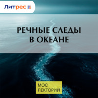 Александр Осадчиев. Речные следы в океане