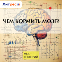 . Чем кормить мозг?