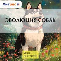 . Эволюция собак