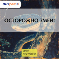 Алексей Соколов. Осторожно змеи!