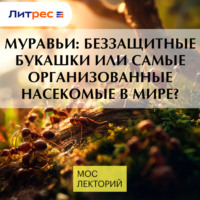 Вадим Марьинский. Муравьи: беззащитные букашки или самые организованные насекомые в мире?