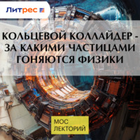 Сергей Мерц. Кольцевой коллайдер - за какими частицами гоняются физики