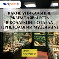 . Какие уникальные экземпляры есть в коллекции отдела герпетологии музея МГУ?