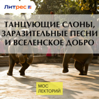 . Танцующие слоны, заразительные песни и вселенское добро