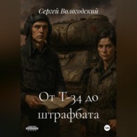 . От Т-34 до штрафбата