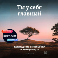 Артем Демиденко. Ты у себя главный: Как поднять самооценку и не перегнуть