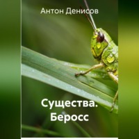 . Существа. Беросс