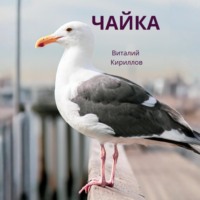 Виталий Александрович Кириллов. Чайка