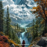 Владимир Поселягин. Мародёр. Часть третья. Чёрная Вдова