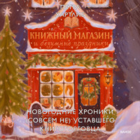 . Книжный магазин и безумные праздники. Новогодние хроники (совсем не) уставшего книготорговца