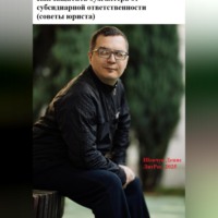 Денис Александрович Шевчук. Как защитить бухгалтера от субсидиарной ответственности (советы юриста)