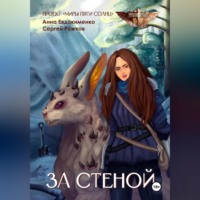 . Проект «Миры пяти солнц» За стеной