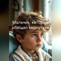 Резеда Зарипова. Мальчик, который обещал вернуться.