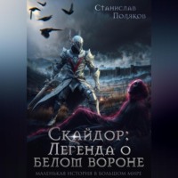 . Скайдор: Легенда о белом вороне