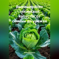 Война Владимир. Выращивание пекинской капусты: от семени до урожая