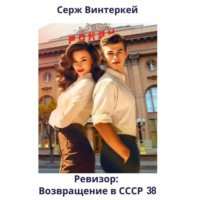 Серж Винтеркей. Ревизор: возвращение в СССР 38