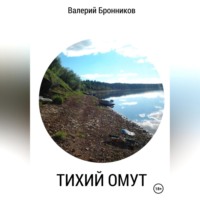 Валерий Бронников. Тихий омут