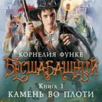 Корнелия Функе. Бесшабашный. Книга 1. Камень во плоти