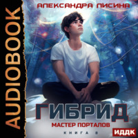 . Гибрид. Книга 8. Мастер порталов