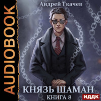 . Князь шаман. Книга 8