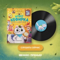 Этери Заболотная. Агент Кефирка и дело о пропавшем зеркале