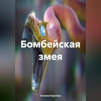 Наталия Королева. Бомбейская змея.