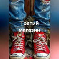 Владимир Александрович Сединкин. Третий магазин