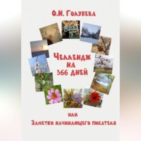 . ЧЕЛЛЕНДЖ на 366 ДНЕЙ или Заметки начинающего писателя