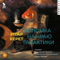Этгар Керет. Поломка на краю галактики