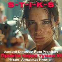 Ирэн Рудкевич. S-T-I-K-S. Пройти через туман VI