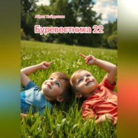 . Буревестника 22
