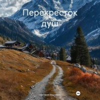 Настасия Воронова. Перекресток душ
