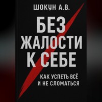Шокун Алексей. Без жалости к себе: Как успеть Всё и не Сломаться