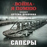 Артем Драбкин. Саперы