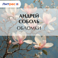 . Обломки