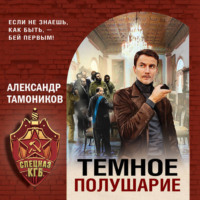 Александр Тамоников. Темное полушарие