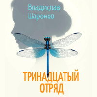 Владислав Шаронов. Тринадцатый отряд
