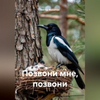 Виктор Винничек. Позвони мне, позвони
